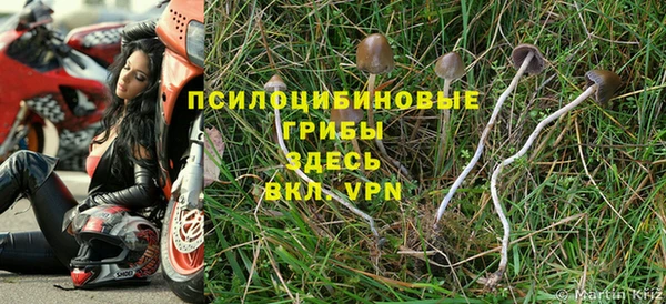 apvp Дмитров