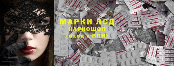 apvp Дмитров