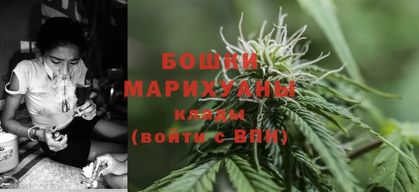 apvp Дмитров